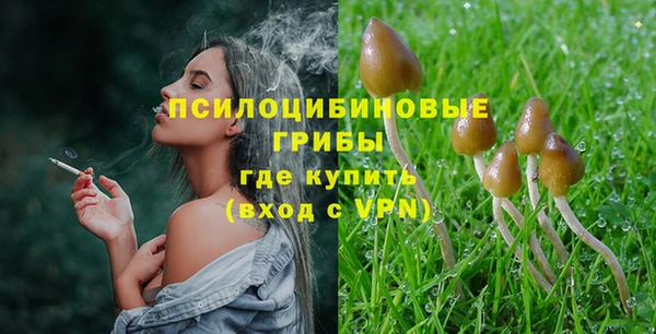 первитин Алексин