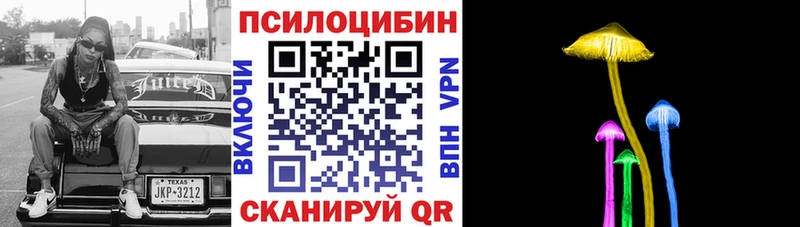 где купить наркотик  Киселёвск  KRAKEN сайт  Псилоцибиновые грибы прущие грибы 